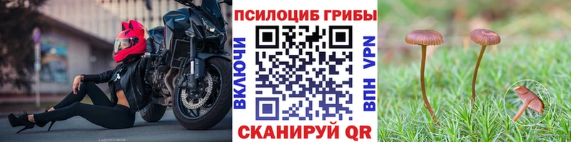 Купить где  Иваново  Галлюциногенные грибы Magic Shrooms 